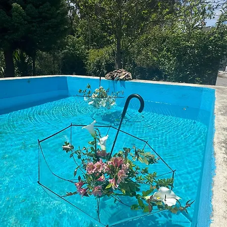 Casa Dos Castros * Travassos (Braga)