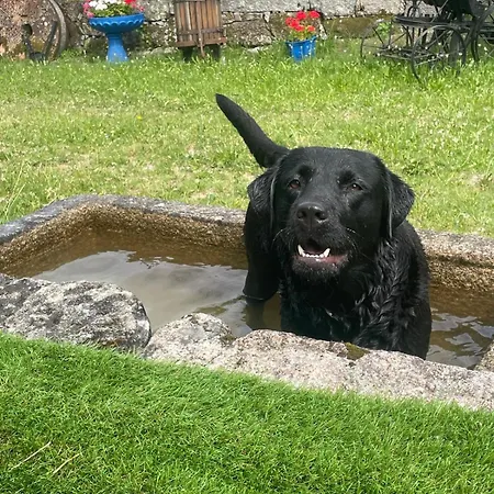 Casa Dos Castros Tatil Evi Travassos (Braga)