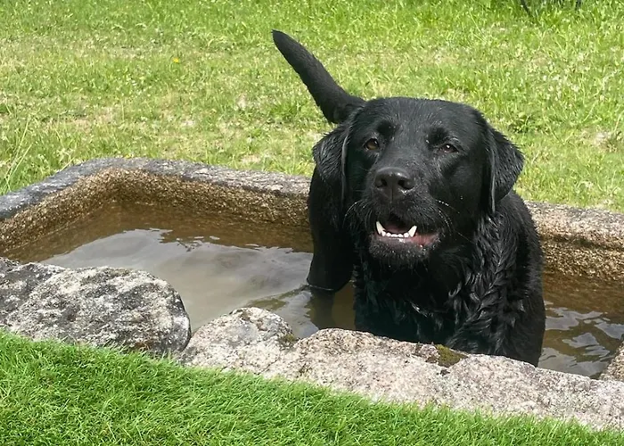 Casa Dos Castros بيت للعطل Travassos (Braga)